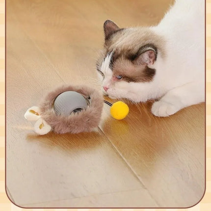 S6ab1a9e2cfa14550a4903021c4487a139