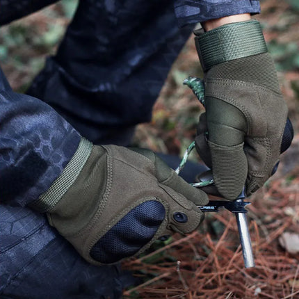 S91681953d5ab41eab7e88ffaa07c7ccf7