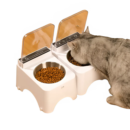 c6b8a453-7b6e-4441-86af-2e8cfecc4888